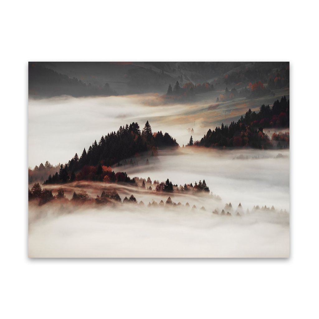 Vászon falikép, köd, 85x113 cm, fehér-sötétbarna - BRUME - Butopêa